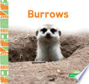 Burrows cover