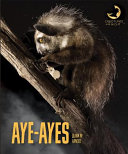 Aye-ayes cover