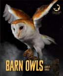 Barn Owls cover