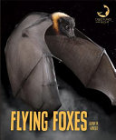 Flying Foxes cover