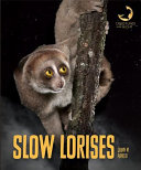 Slow Lorises cover