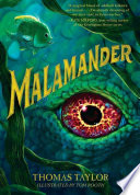 Malamander cover