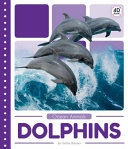 Dolphins cover