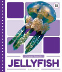 Jellyfish cover