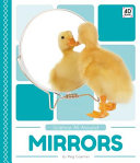 Mirrors cover