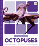 Octopuses cover