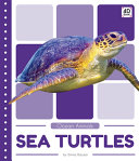 Sea Turtles cover