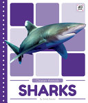 Sharks cover