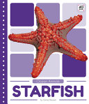 Starfish cover