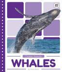 Whales cover