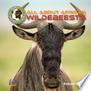 All About African Wildebeests cover