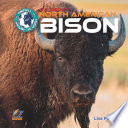 All About North American Bison cover