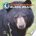 All About North American Black Bears cover