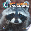 All About North American Raccoons cover