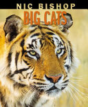 Big Cats cover