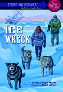 Ice Wreck cover