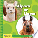 Alpaca or Llama cover