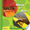 Wasp or Bee cover