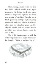 Freedom cover