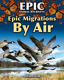 Epic Migrations by Air cover