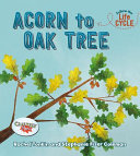 Acorn to Oak Tree cover