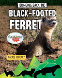 Bringing Back the Black-Footed Ferret cover