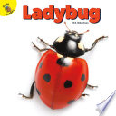Ladybug cover