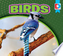 Birds cover