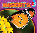 Insects cover