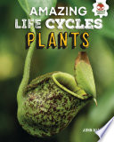 Plants cover