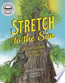 Stretch to the Sun: From a Tiny Sprout to the Tallest Tree on Earth cover