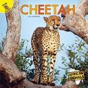Cheetah cover