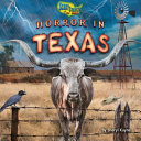Horror in Texas cover