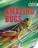 Amazing Bugs cover