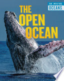 The Open Ocean cover