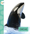 Orcas cover