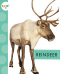 Reindeer cover