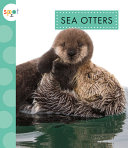 Sea Otters cover