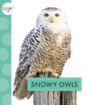 Snowy Owls cover