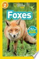Foxes cover