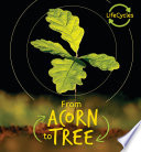 From Acorn to Tree cover