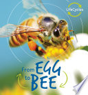 From Egg to Bee cover
