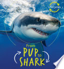 From Pup to Shark cover