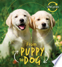 From Puppy to Dog cover