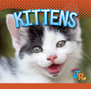 Kittens cover