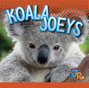 Koala Joeys cover