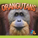 Orangutans cover