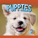 Puppies cover