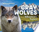 Gray Wolves: Yellowstone's Hunters cover