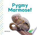 Pygmy Marmoset cover